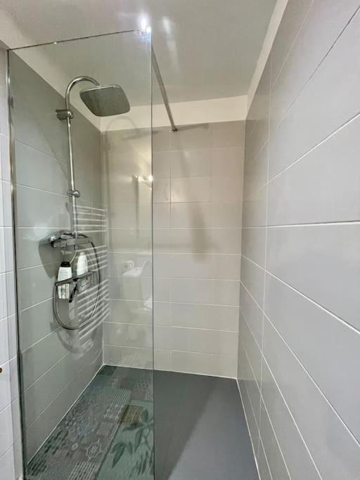 Appartement Confort - Carcassonne Centre ภายนอก รูปภาพ